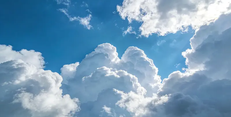 肺癌49基因检测图2