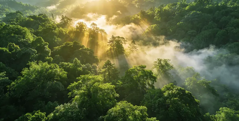 郑州肺癌172基因检测图片1