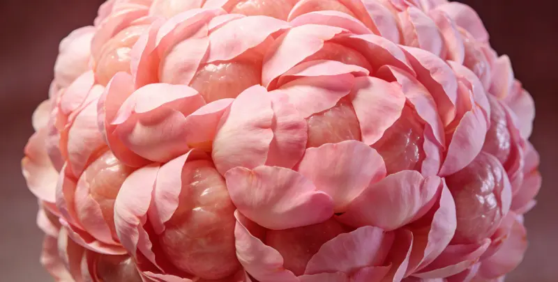 郑州BRCA1/2乳腺癌卵巢癌基因检测图片1